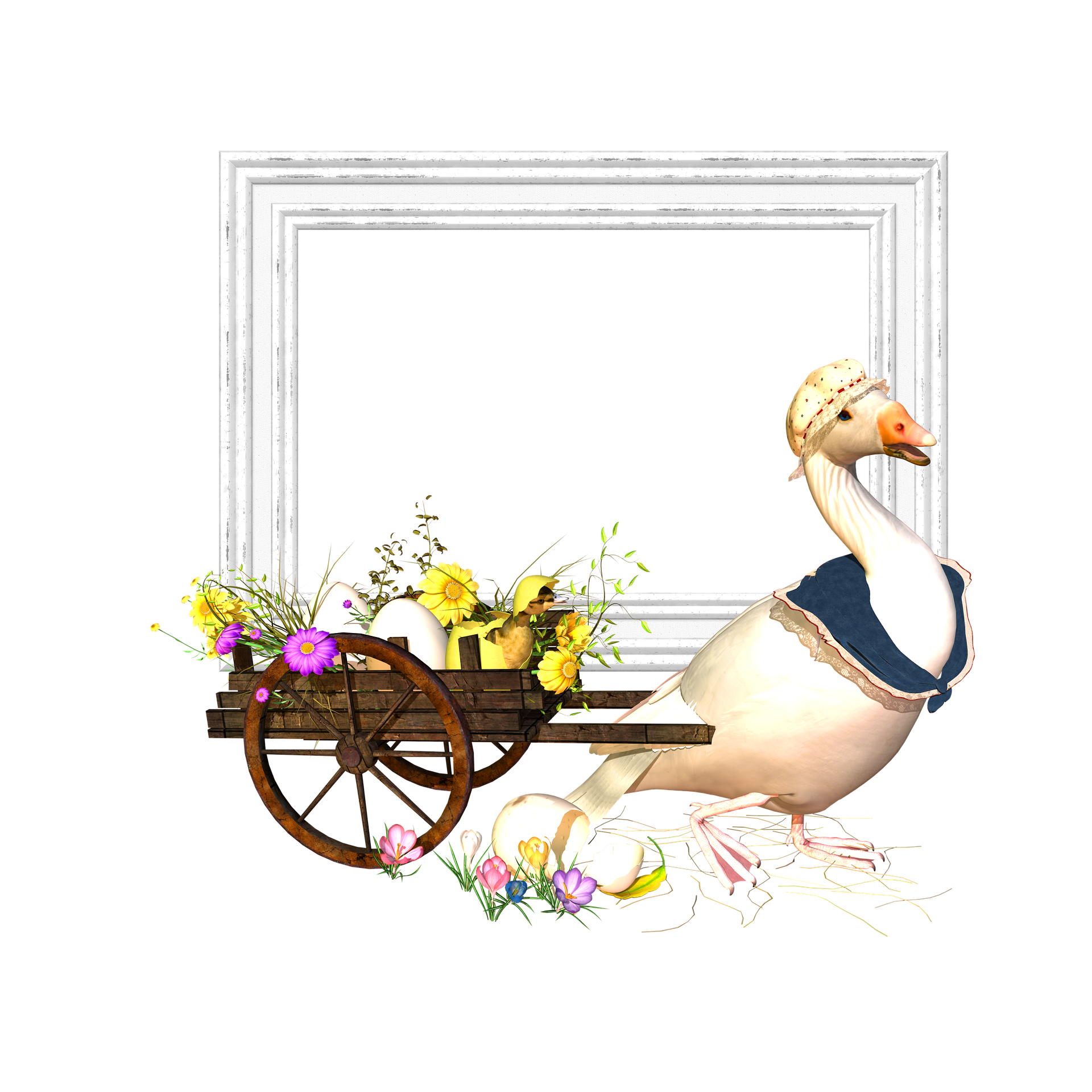 frame