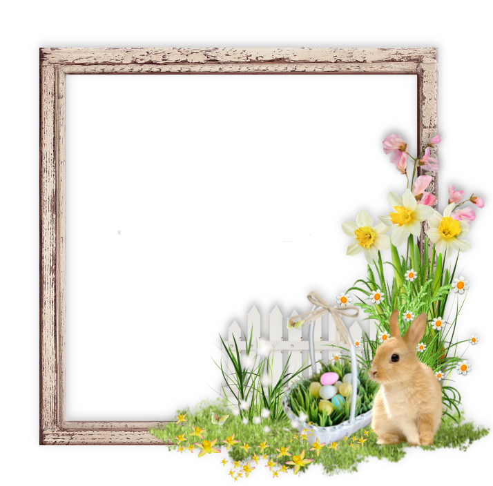frame
