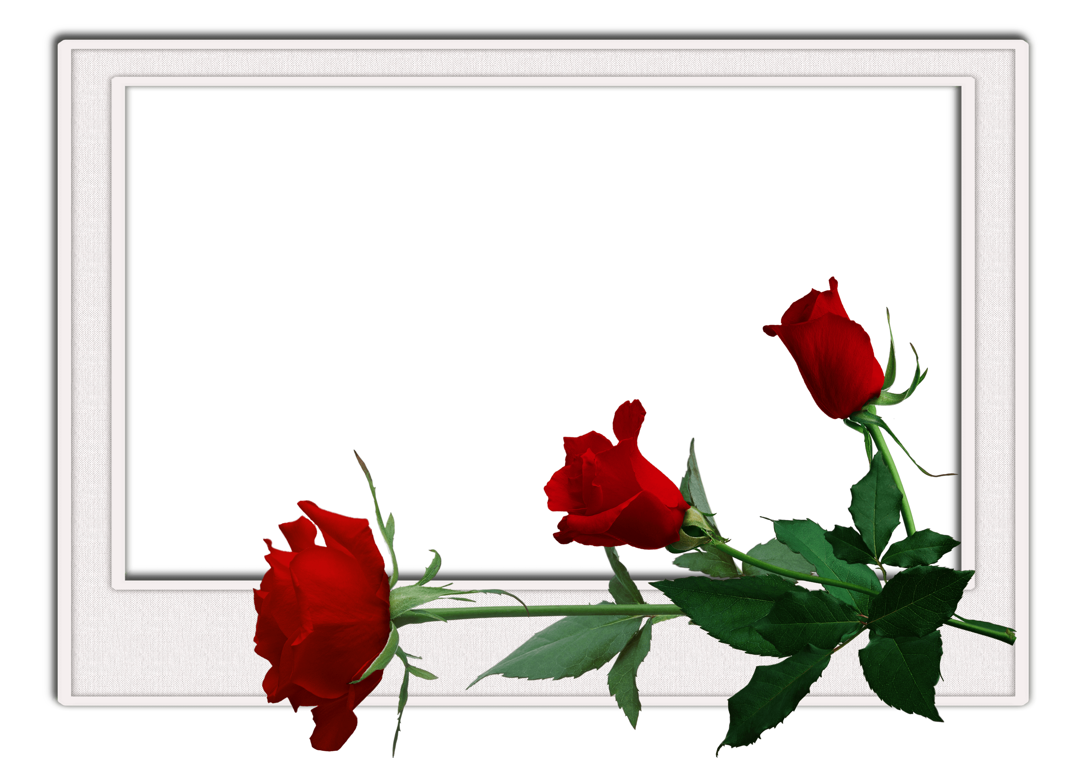 frame