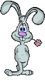 bunny