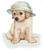 hund