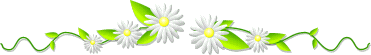 divider