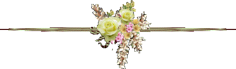 linie