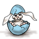 bunny