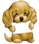 hund