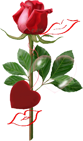 rose