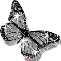 schmetterling