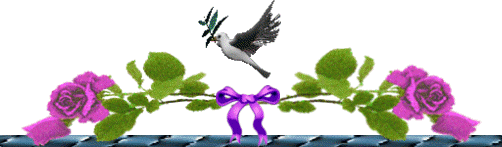 linie