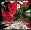 herz