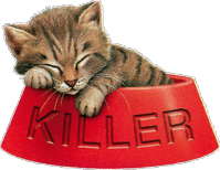 katze