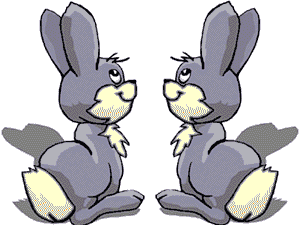 hase