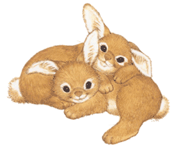hase