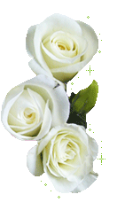 3rose