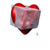 herz