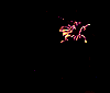 feuerwerk