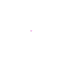 Feuerwerk