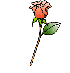 blume