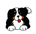 hund