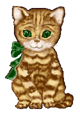 katze