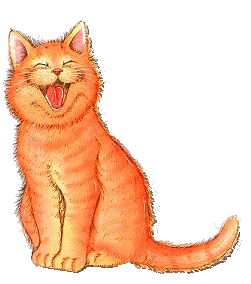 katze