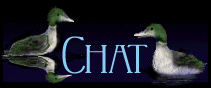 chat