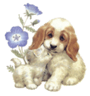 kahu