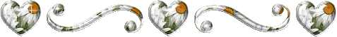 linie