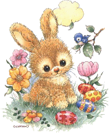 hase