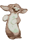 hase