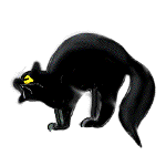 Katze