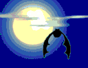 Fledermaus