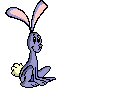 hase