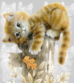 katze