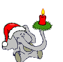 elefant