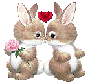 hase