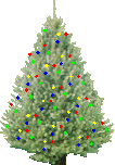 w-baum