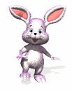 hase