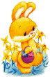 hase