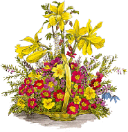 blumen