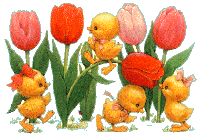 blumen