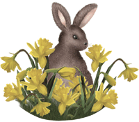 blumen
