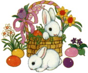 hase