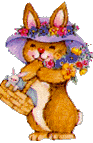 hase