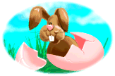hase