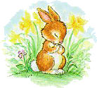 hase