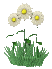 blumen