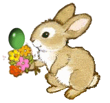hase