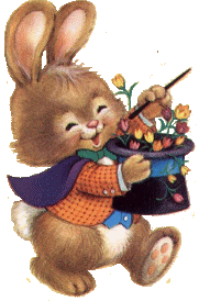 hase