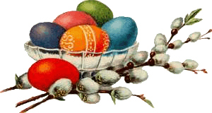 nest