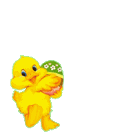 kuecken